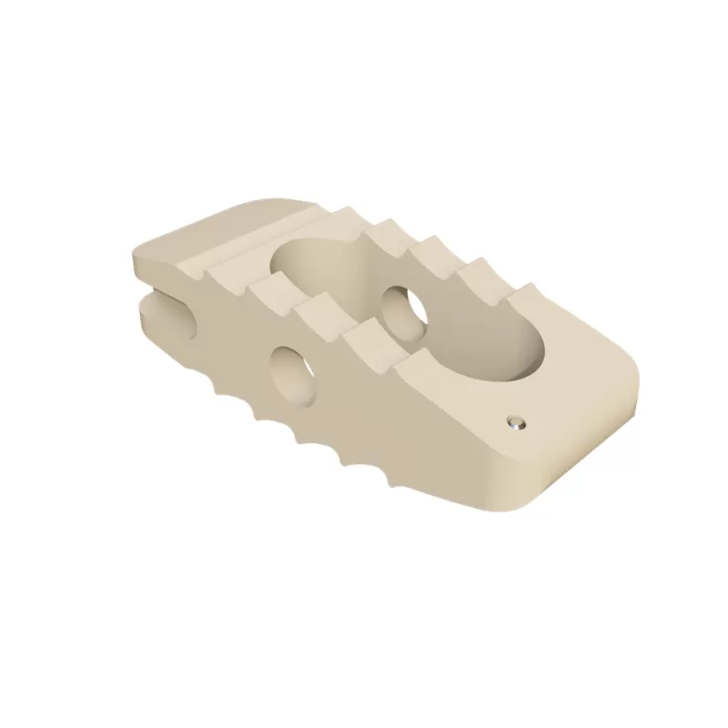 Lumbar Interbody Fusion Cage LF-I