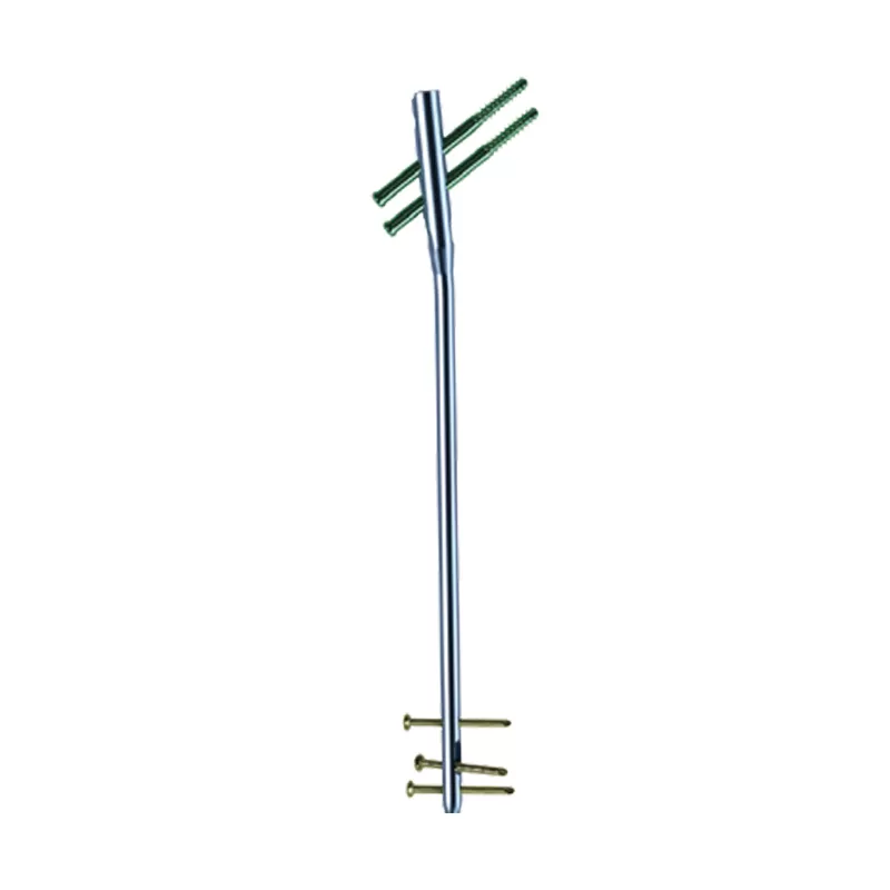 Femoral Reconstruction Nail