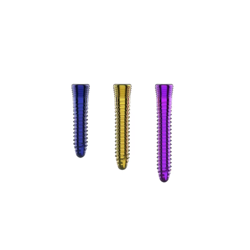 Cervical Interbody Fusion Cage (4 Screws)