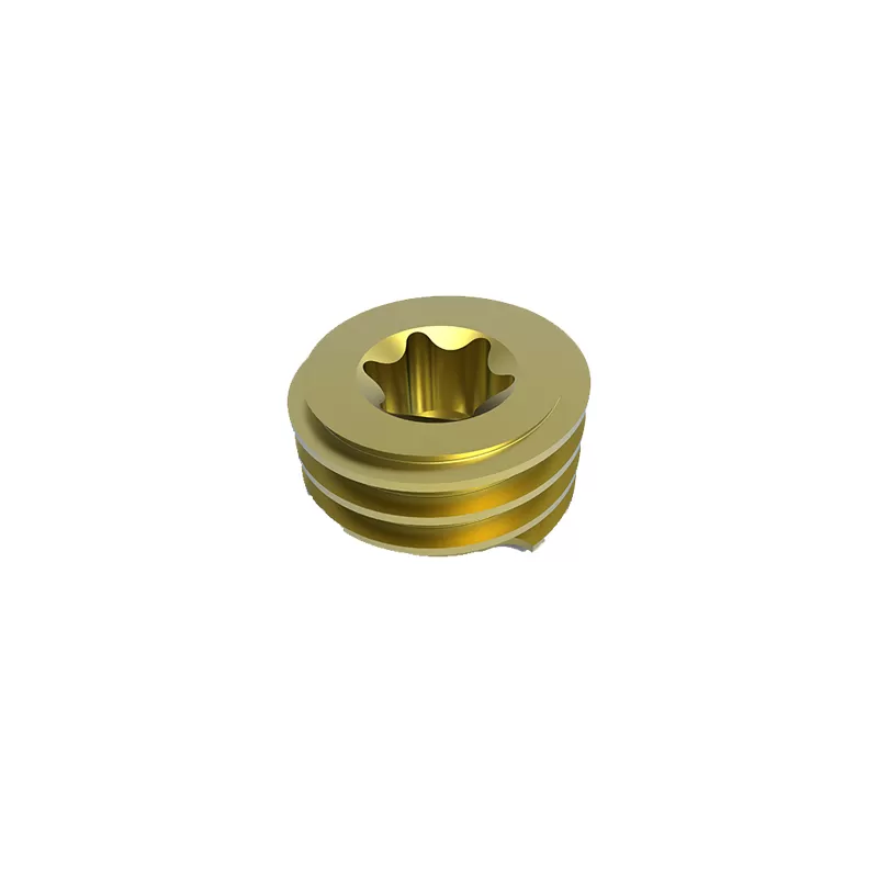 Set Screw (6.0 system)