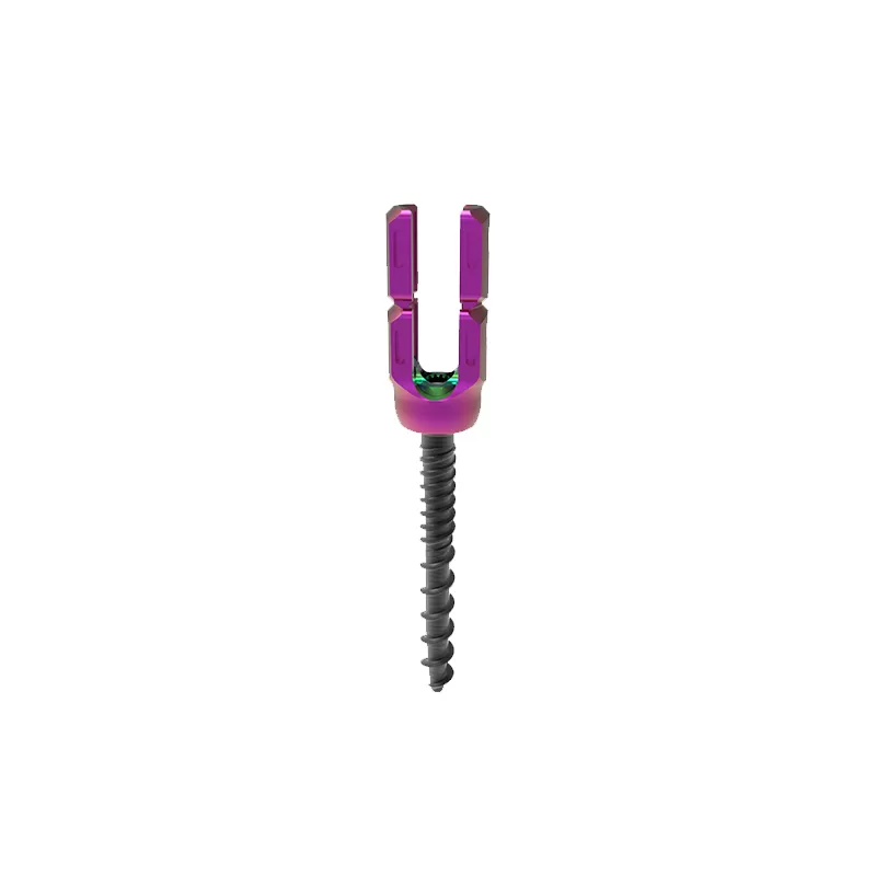 Set Screw (6.0 system)