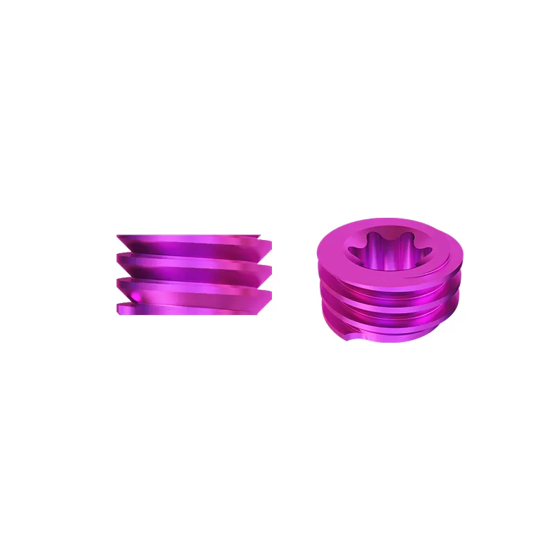Set Screw (4.5 System)