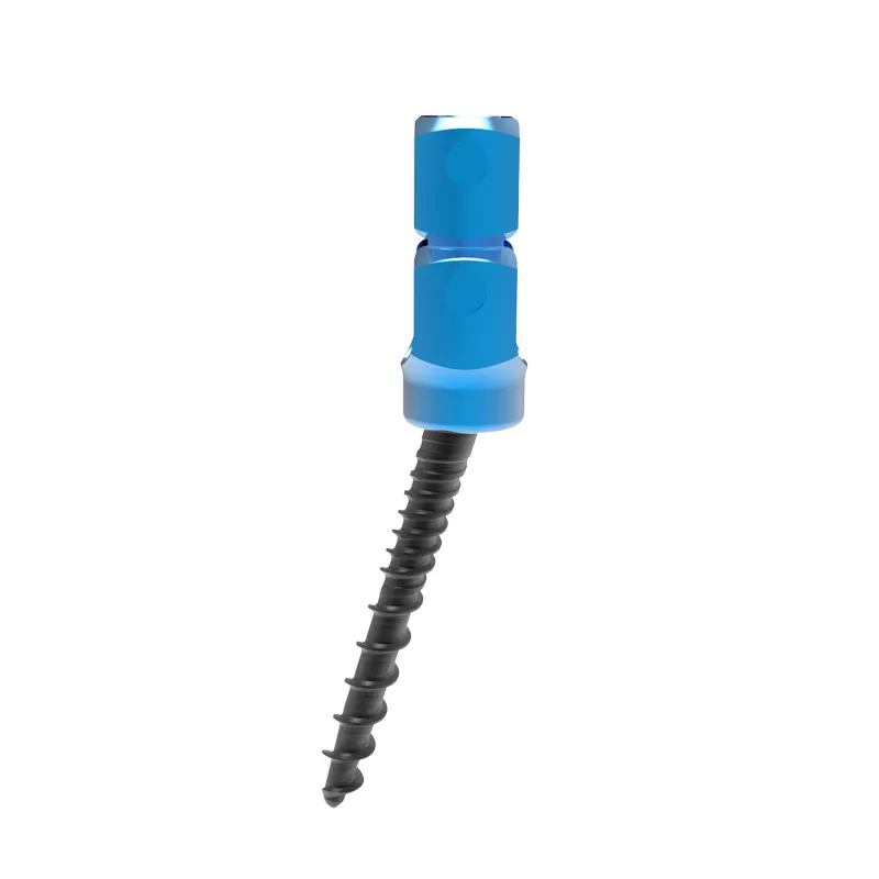 Ti Posterior Rod-Screw for Spinal Deformity (6.0 System)