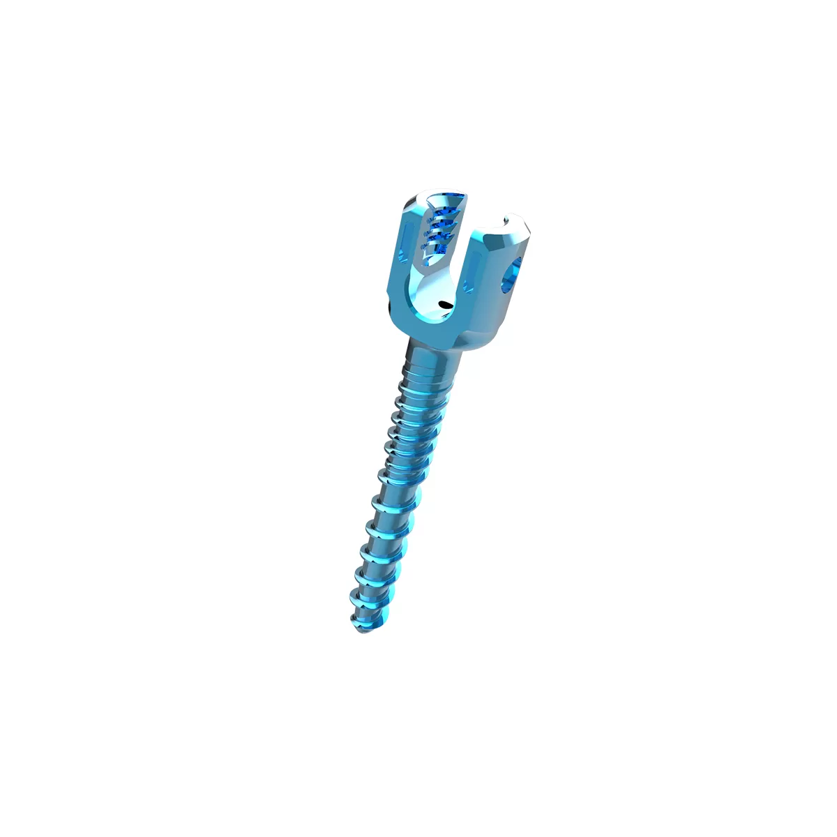 Titanium Rod