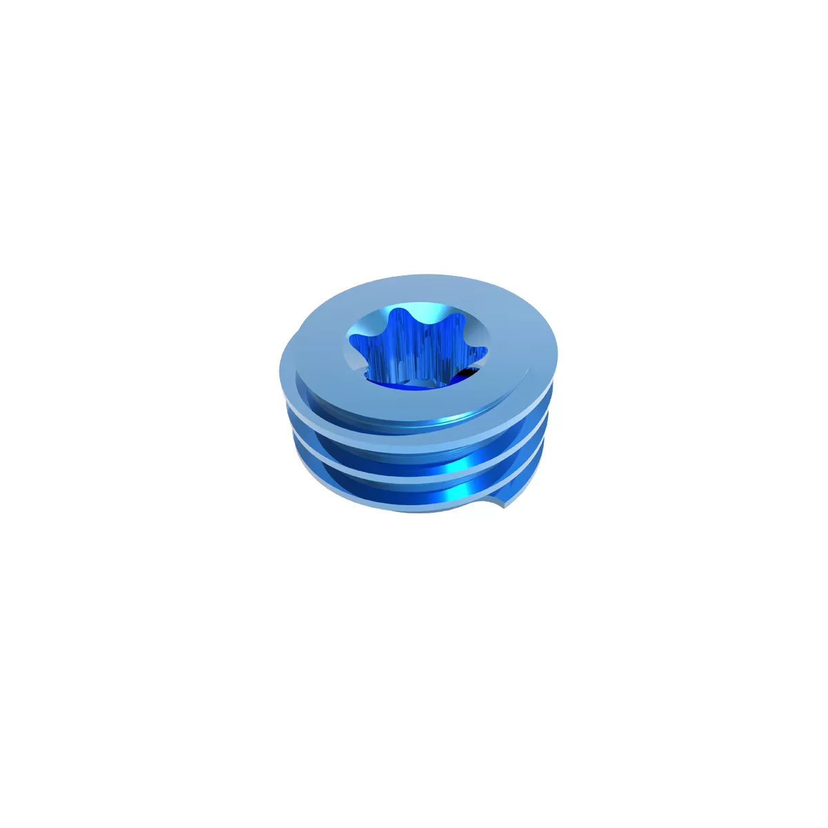 Set Screw Type-I