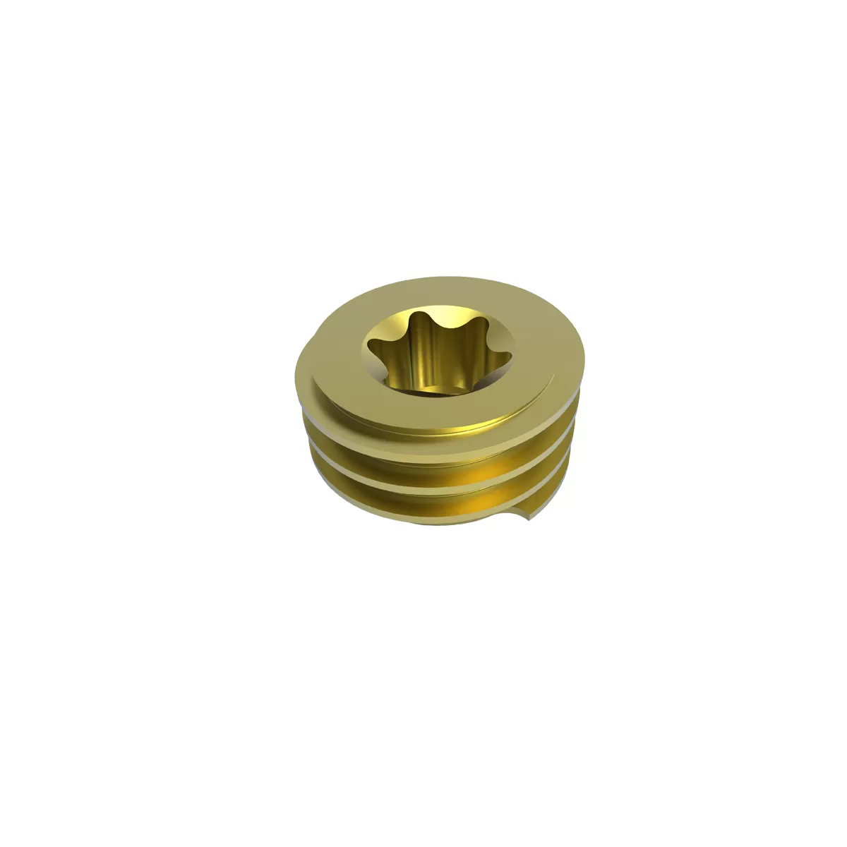 Set Screw