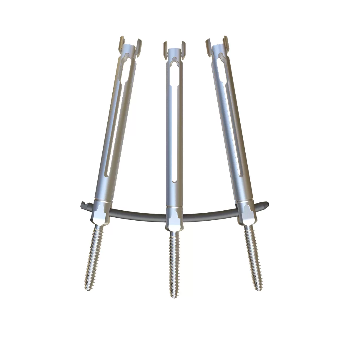 Polyaxial Screw, Type III