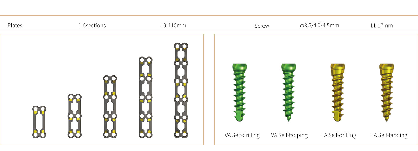Anterior Cervical Plate – Type III