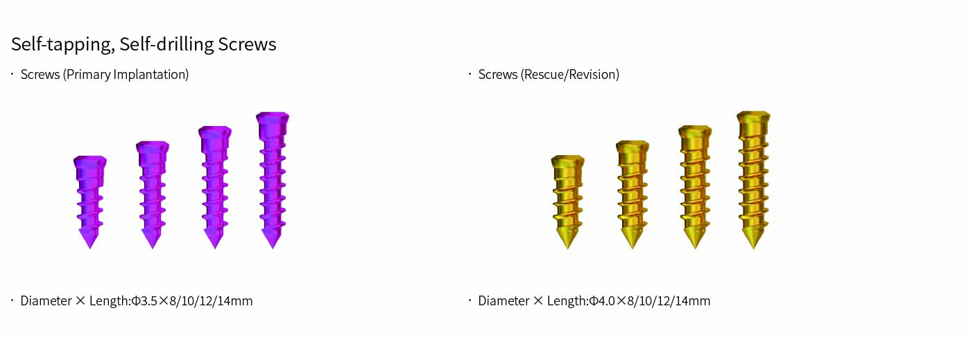 Cervical Interbody Fusion Cage (2 Screws)