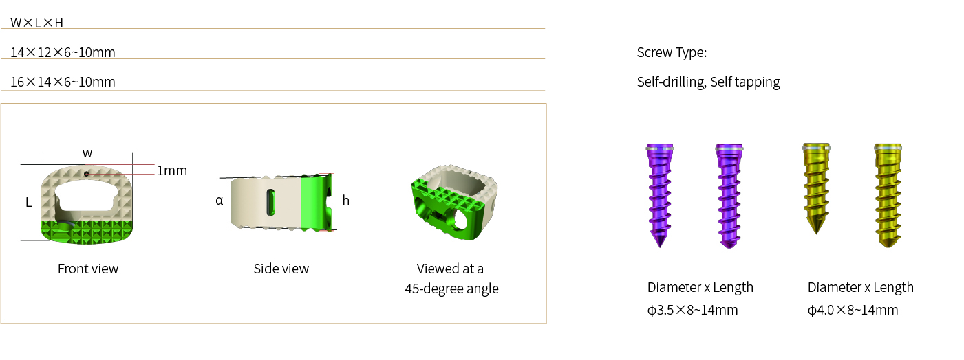 Cervical Interbody Fusion Cage (2 Screws)