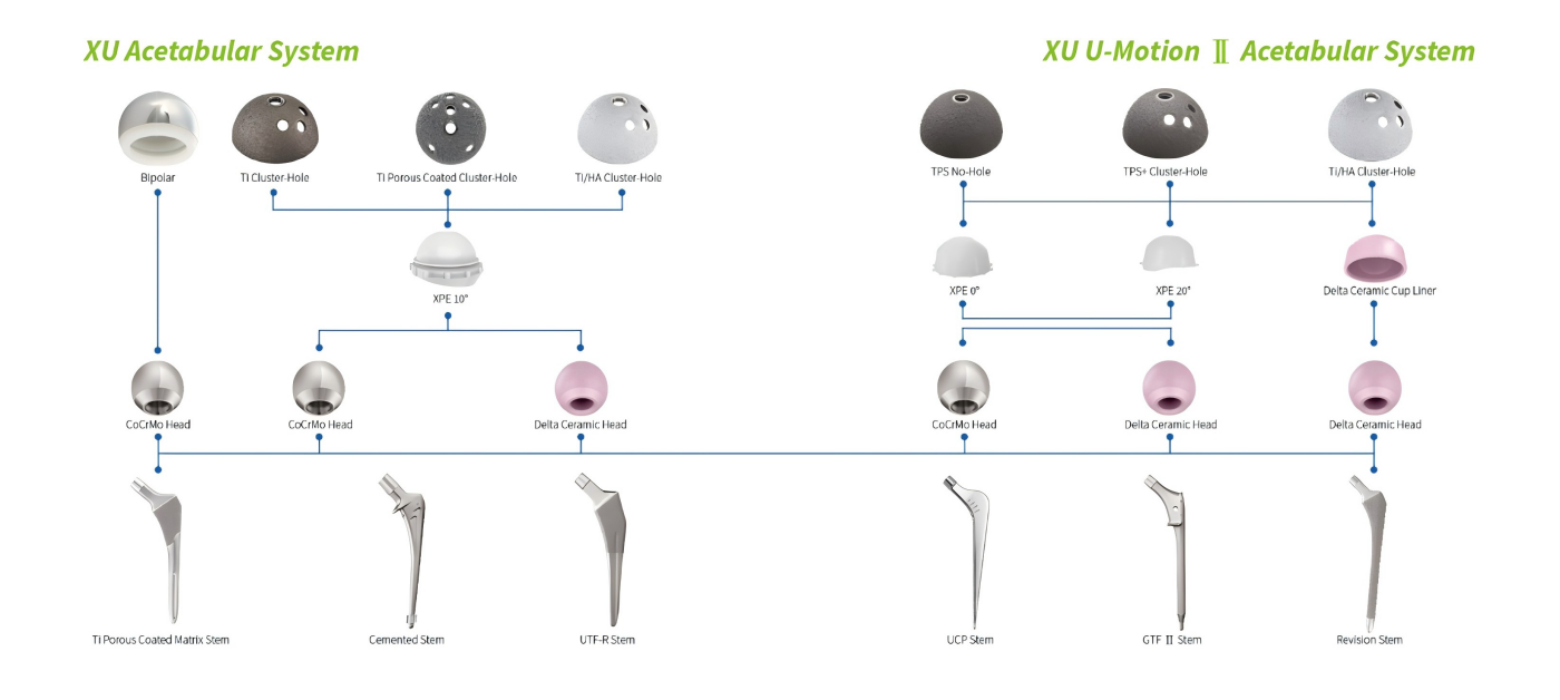 acetabular implant,Revision Total Hip Replacement